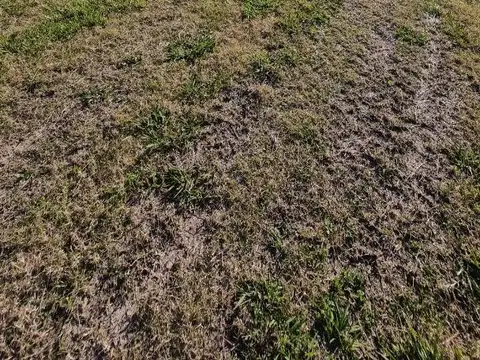 Terreno en Venta en Barrio El Campo - Fincas Exclusivas Cardales, USD 28.000