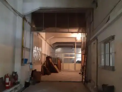 AMEGHINO FLORENTINO  N°382