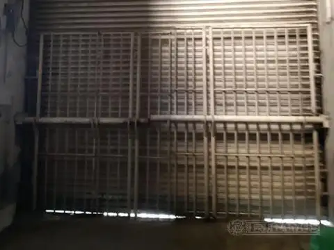 AMEGHINO FLORENTINO  N°382