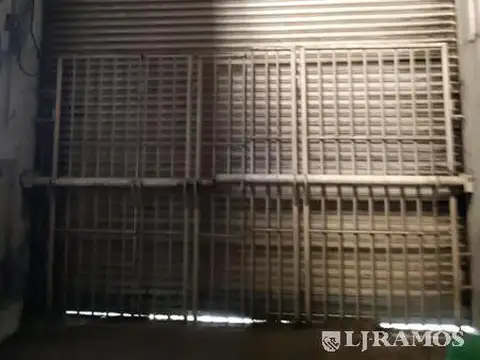 AMEGHINO FLORENTINO  N°382