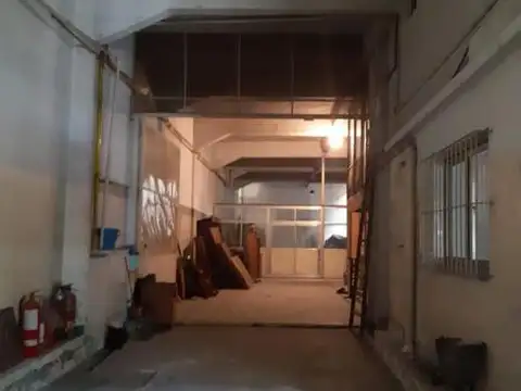 AMEGHINO FLORENTINO  N°382