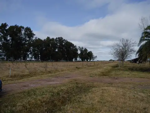 Excelente campo en Venta en San Vicente