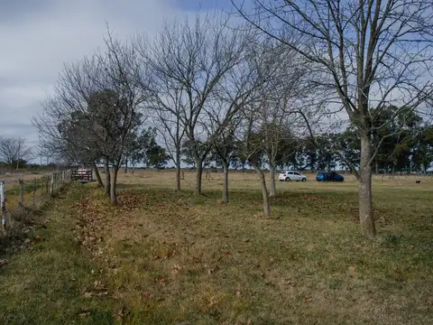 El Valle  y Ruta 6