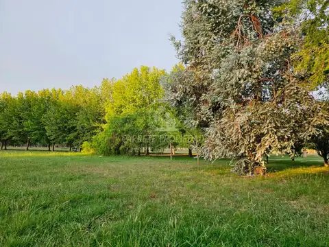 Terreno / Lote en venta de 6579m2 ubicado en Estancia Villa María. Ezeiza.