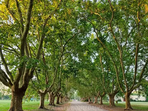 Terreno / Lote en venta de 6579m2 ubicado en Estancia Villa María. Ezeiza. 100