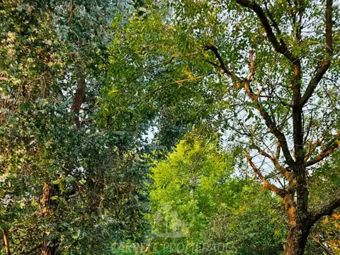 Terreno en Venta 65  mts Fondo