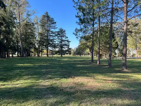 Ruta nacional 8 km 79