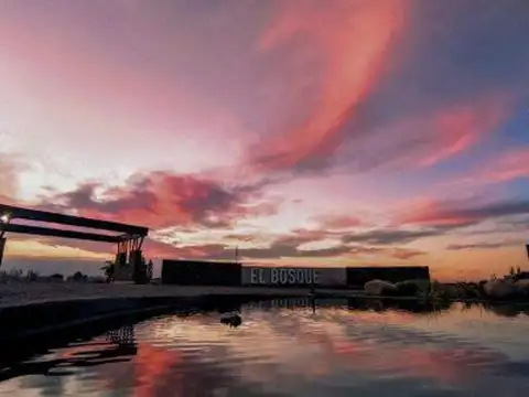 Terreno en Venta de 300,0 m2