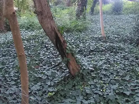 Terreno en venta - 667Mts2 - Villa Gesell