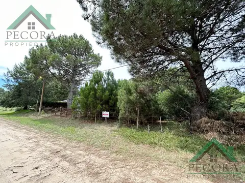Terreno en Venta 40  mts Fondo