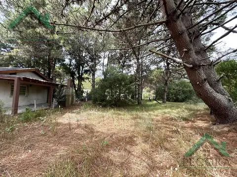 Venta - terreno - Nueva Atlantis - Cramer al 3200