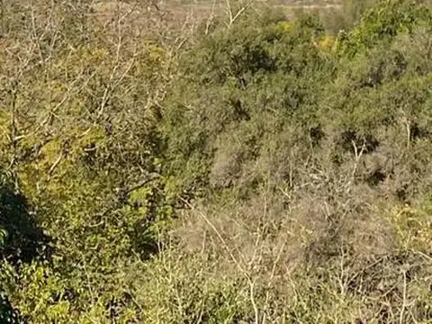 Terreno en Venta de 10000,0 m2