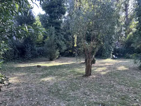 Terreno en Venta 30  mts Fondo