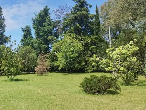 VENTA LOTES LA PLATA
