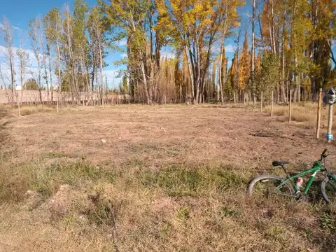  LOTE EN  VENTA MALARGÜE CENTRO, 730m2 