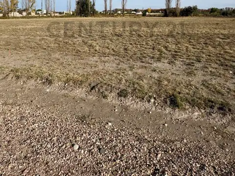 El Toledano 600, Piso 0