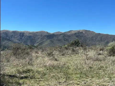 Los Nogales esquina San Juan