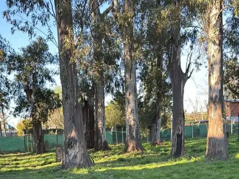 Terreno en Francisco Alvarez