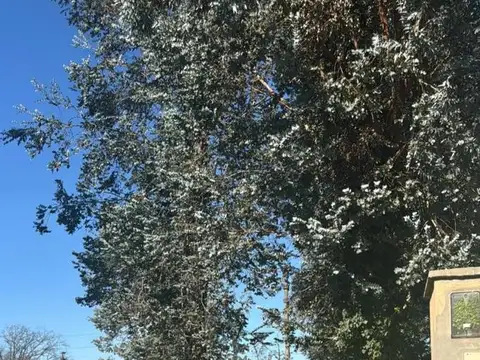 Terreno en Venta de 490,0 m2