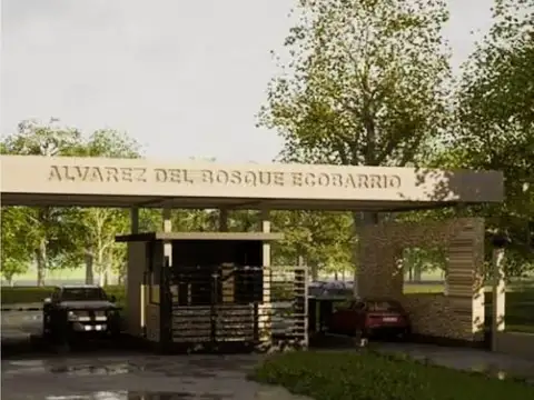 LOS ABEDULES  al 4100