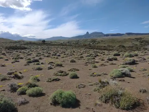 Villa Lago Huechulafquen 100