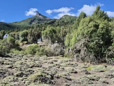Terreno en Venta en Meliquina, USD 59.000