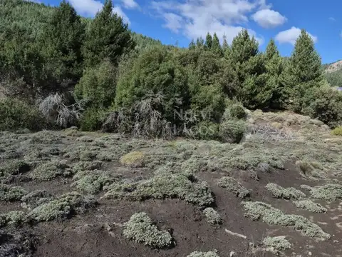 Terreno en Venta 38  mts Fondo