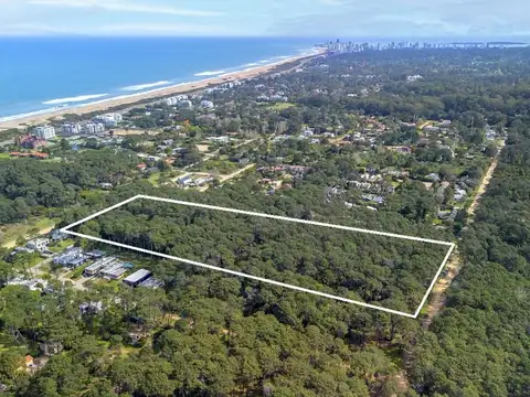 Avenida Miguel Angel