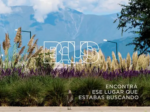 Avenida Ingeniero Mario Banchik