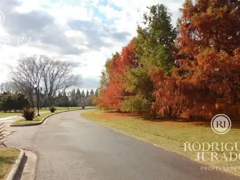 Espectacular Lote Arbolado