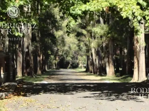 Espectacular Lote Arbolado