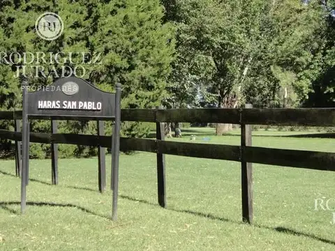 Haras San Pablo 100