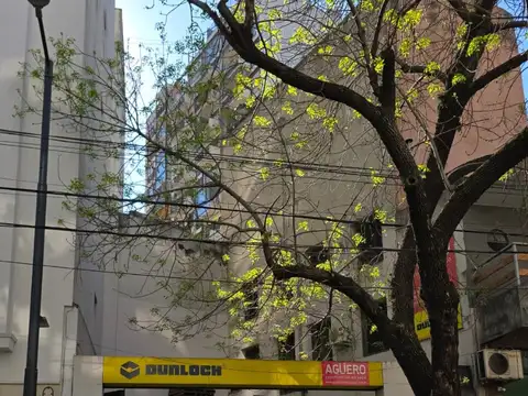 Terreno en Venta de 300,0 m2