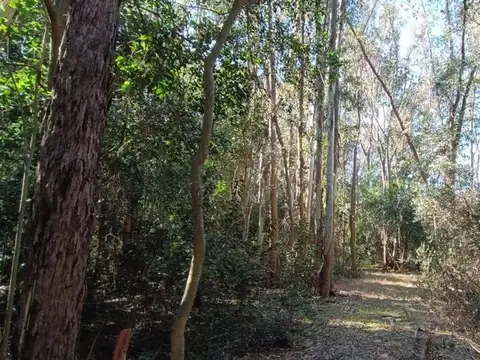 Terreno en Venta en Atucha, USD 69.000