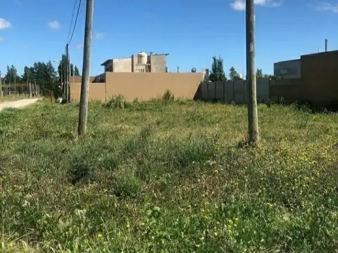 Terreno en Venta en Arturo Segui, USD 30.000