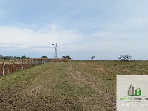 Campo en alquiler de 878has ubicado en Federal