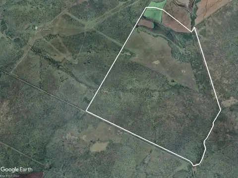 Federal Entre rios 100