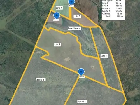 Federal Entre rios 100