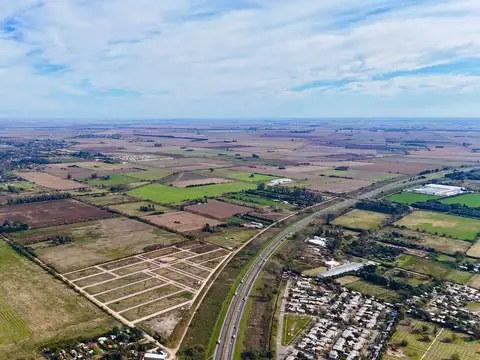 Avenida de Los Incas, Rosario
