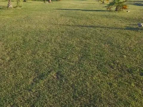 Arribeños 2600