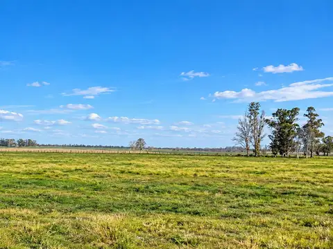 Venta Fracciones de Campo | 9 y 12,7  Hectáreas | Posibilidad de Financiación | San Antonio de Areco