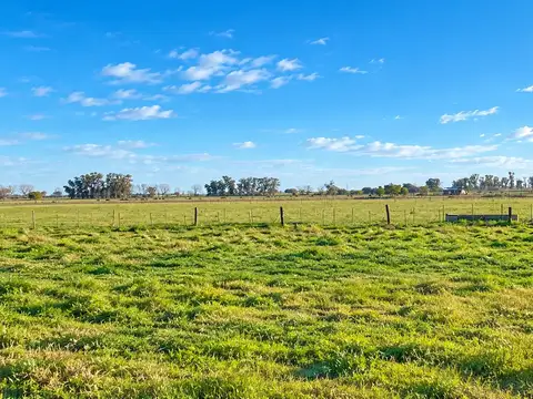 Ruta 31 - San Antonio de Areco