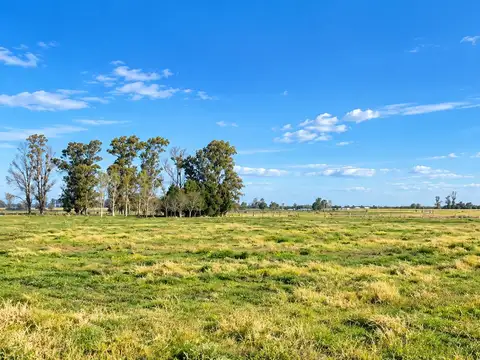 Ruta 31 - San Antonio de Areco