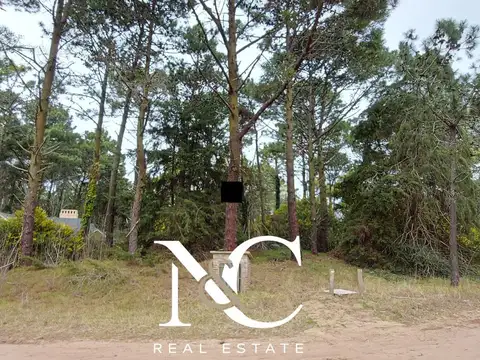 Calle Jilguero y Palmera, Cariló