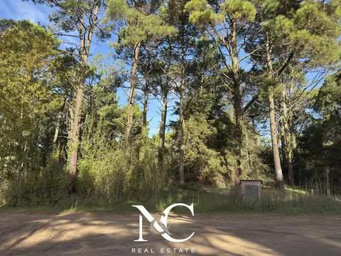 Terreno en Venta 43  mts Fondo