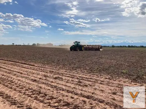 Campo en venta - 719 Hectáreas - Salta