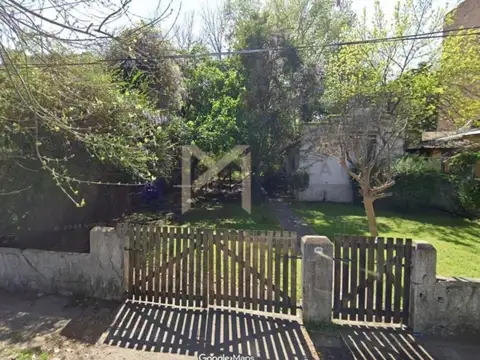 Enciso, Tigre 1500