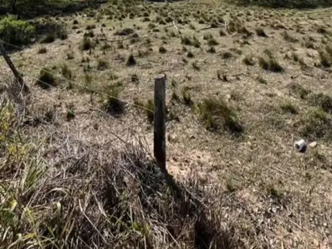 HECTAREAS EN VENTA EN SAN JOSÉ DEL RINCÓN SANTA FE