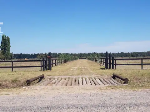 Terreno en Estancia Benquerencia
