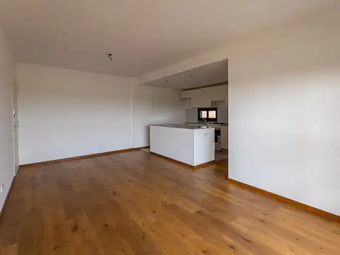 Ingeniero León Miglierini 600